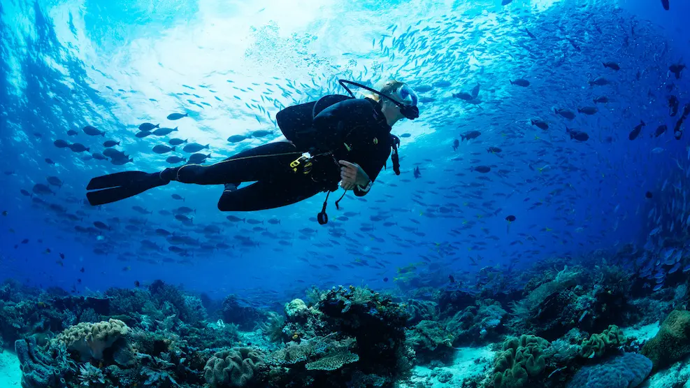 Buceo Islas Cíes