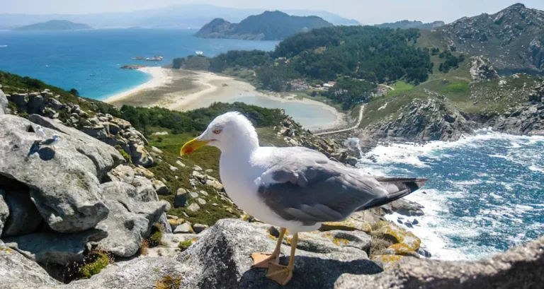 Comparando las Islas Cíes con Otros Destinos del Atlántico