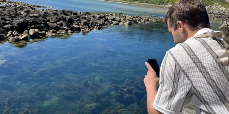 Protección y Conservación de las Islas Cíes